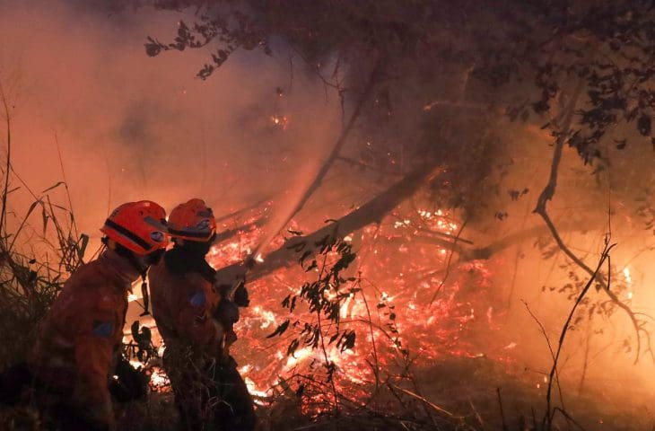 brasil queimando