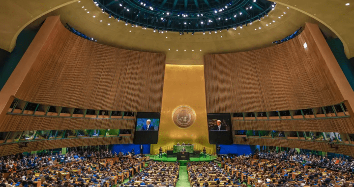 Brasil na ONU: os limites da retórica.