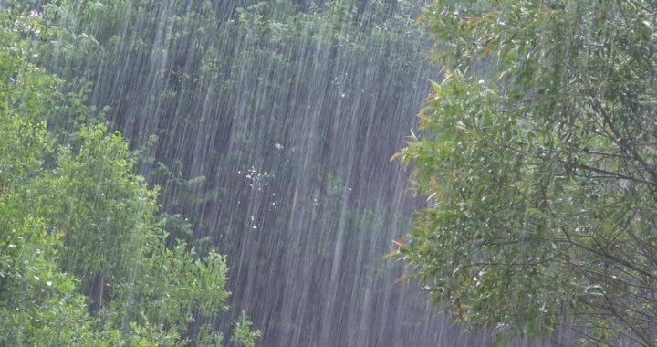 chuva